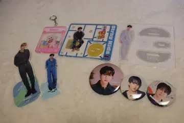 straykids 찬빈 아크릴 스탠드 5종 세트