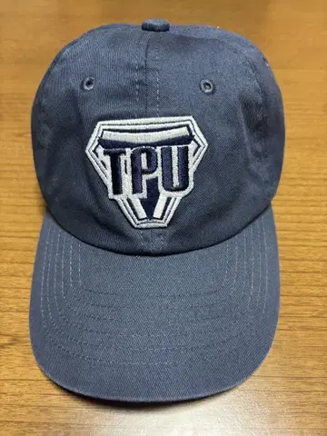 TPU 로고 네이비 캡 반다이