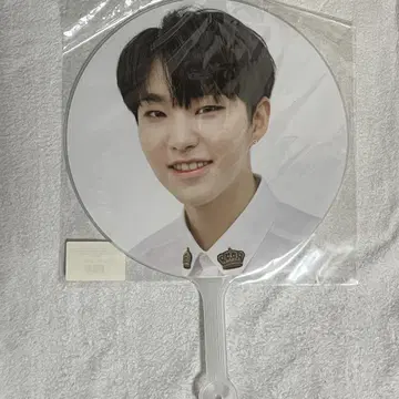 SEVENTEEN 호시 부채