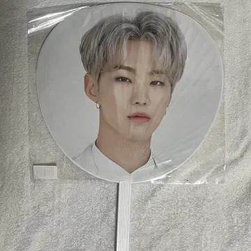 세븐틴 호시 부채