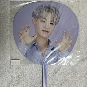 세븐틴 호시 부채