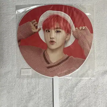 세븐틴 호시 부채