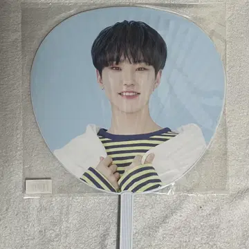 세븐틴 호시 부채