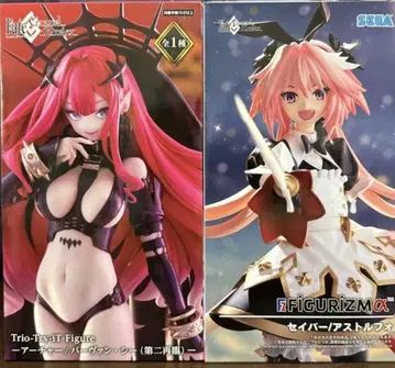 Fate/Grand Order 아처/바르반 시 세이버
