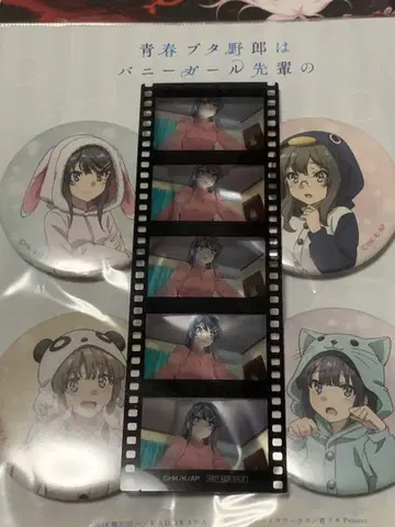 파랑 돼지 캔뱃지와 영화 혜택 필름