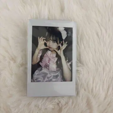 마츠모토 카렌 폴라로이드 파라