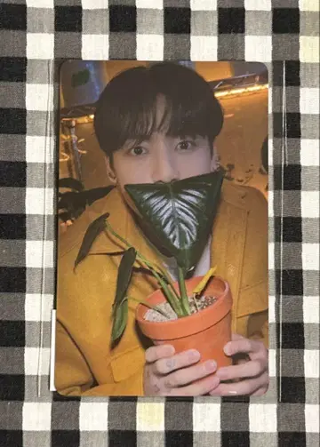 PTD 정국 위버스 혜택
