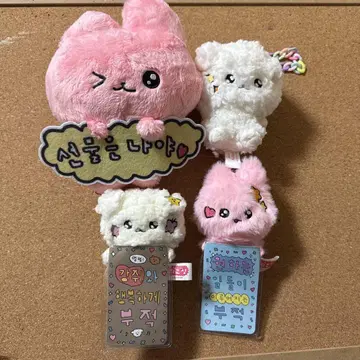 체고심 프라이스 4종 세트