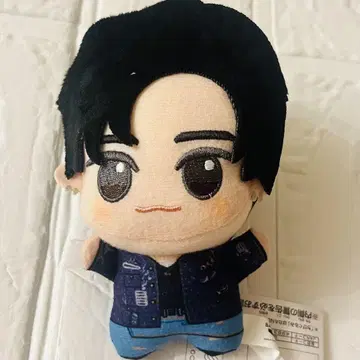 RIIZE 원빈 SD 인형 봉제 인형 남코 한정판