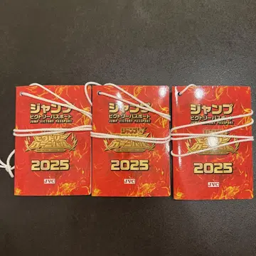 점프 빅토리 카니발 2025 여권 3권
