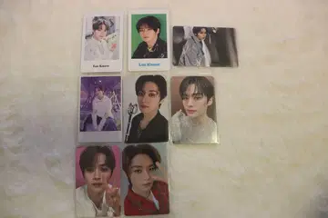 Straykids 스키즈 트레이딩 카드 묶음 판매 리노