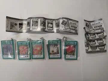 자포니카 학습장 더블 아크릴 참 컴플리트 5종 세트