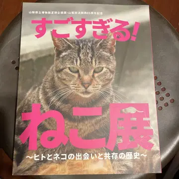 너무 대단해! 고양이 전 도록