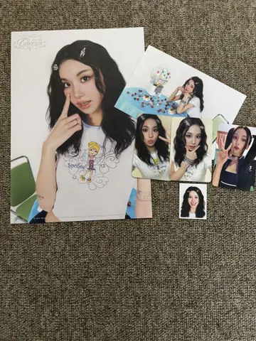 TWICE 시그리 한국 일본판 채영