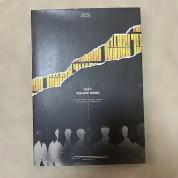 stray kids yellow wood 초회 한정판  장빈 CD만