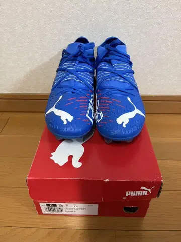 퓨처 Z 3.2 HG 블루 메이징