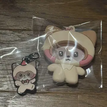 제베원 제로니 팝업 하오 하니니 2개 세트