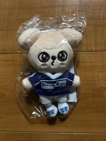 Stray Kids popup PuppyM 백 참