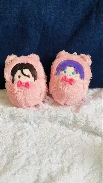 마법사의 약속 싸개 타피누이 무루와 샤이록