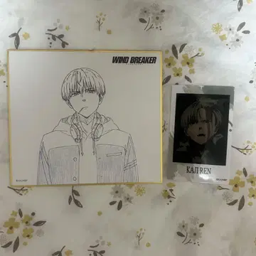 WIND BREAKER CloverWorks 색지 브로마이드 카지 렌