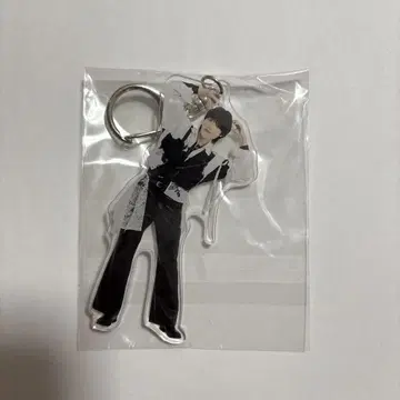 원인은 나에게 있다. 코이즈미 히카리 아크링 키링