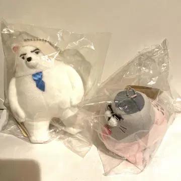 모후모토 마지카루 러블리