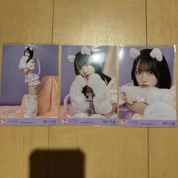 고양이 7주년 의상 노구치 이오리 브로마이드 컴프