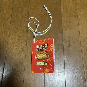점프 빅토리 카니발 2025 여권 점프