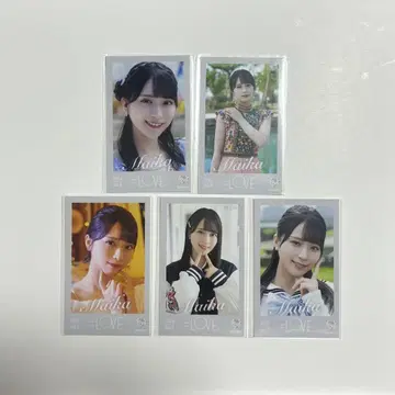 =LOVE 이코러브 사사키 마이카 미니 사진 컴프 묶음 판매