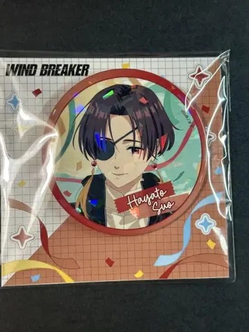 WIND BREAKER 윈브레이커 홀로그램 빅 캔뱃지 소방 준히