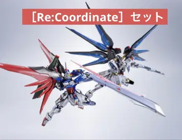 METAL ROBOT 스트로프 데스티니 [Re:Coordinate]