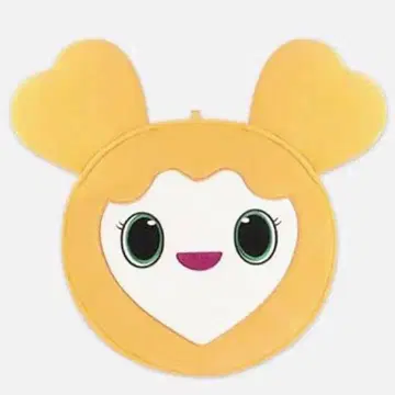 지효 부채 케이스