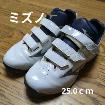 미즈노 업 신발 25.0cm
