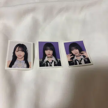 ID 사진 이코러브 노구치 이오리