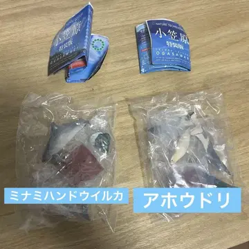 네이처 테크니컬러 오가사와라 받침대 포함 피규어 세트 가챠가챠 생물