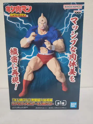 근육맨 리얼 피규어