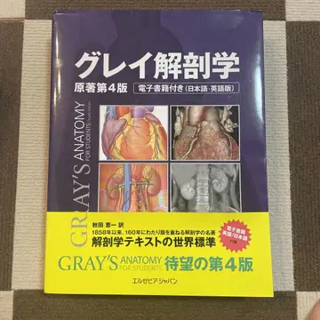 그레이 해부학