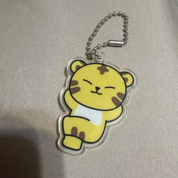 세븐틴 미니틴 아크릴 키링 탐탐 호시