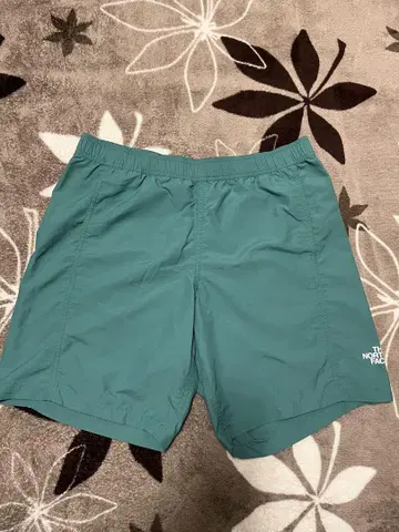 THE NORTH FACE 수륙 양용 숏 팬츠 L 블루