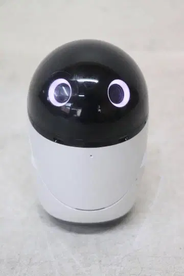 소니 poiq 포이크 로봇 CER-1000