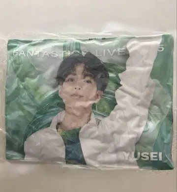 야기 유세이 쿠션