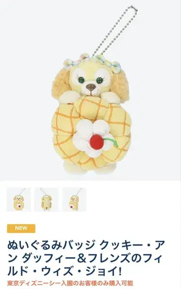 디즈니 씨 개 봉제 인형 배지 쿠키 앤