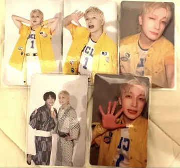 팬더 드래곤 파라곤 트레이딩 카드 요타