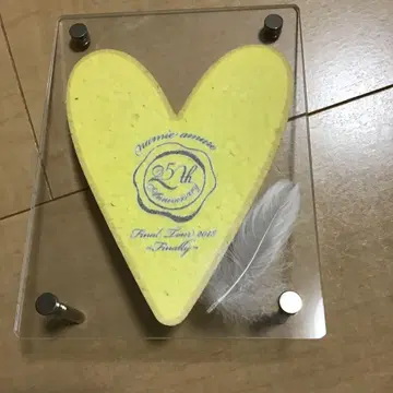 아무로 나미에 하트