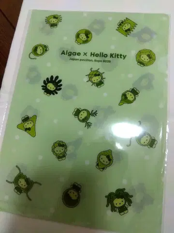 만국 박람회 헬로키티 조류 콜라보 클리어 파일