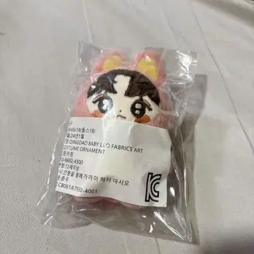 BABY RIIZE 10cm 원빈 마스터 봉제 인형 아크링 키링 세트