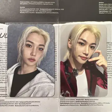 스키즈 라쿠스타 필릭스 트레이딩 카드