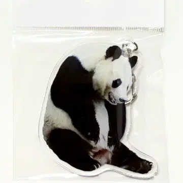 왕자 탄탄 키링