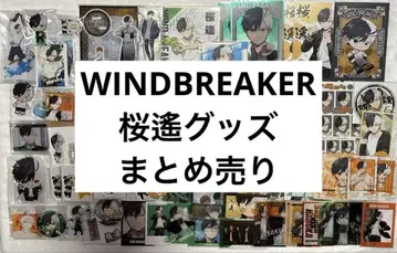 WINDBREAKER 윈브레이커 벚꽃 요코 묶음 판매
