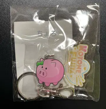학 마스 후지타 코토네 아크릴 참